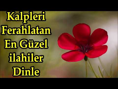 💖Kalpleri Ferahlatan En Güzel İlahiler💖2 Saatlik İlahi Şöleni Dinle💖İlahiler Dinle💖