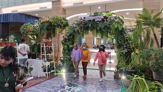 PAMERAN TANAMAN HIAS DI PAKUWON MALL JOGJA