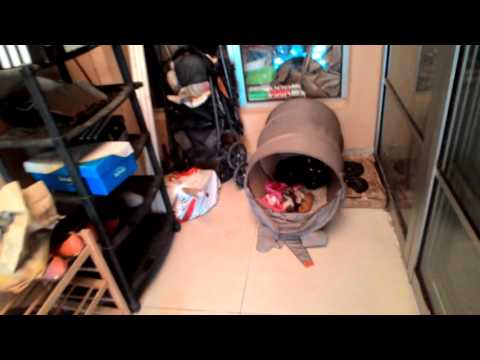 Meet the newly born kittens!!