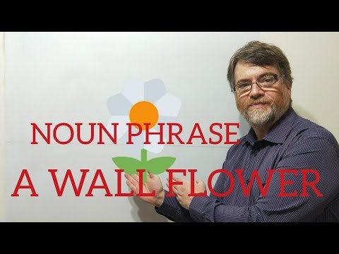 英語導師Nick P名詞短語（33）做一朵牆頭花。 (English Tutor Nick P Noun Phrase (33) Be a Wall Flower)