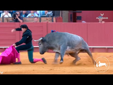 Los TOROS SALVAJES más BRAVOS soltados en 2022 ¡Qué ANIMAL!