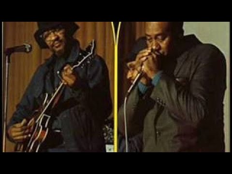 HOMESICK JAMES vesves SNOOKY PRYOR American Blues Legends 73, Volkhaus Zurich, Switzerland. 197