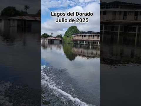 Lagos del Dorado - Miraflores Guaviare #parati #invierno #agropecuario #viajes