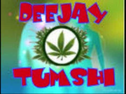 Deejay Tumshi - Promiscuous Girl