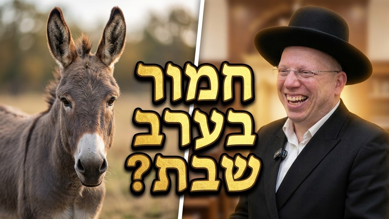 הרב ליאור גלזר קורע מצחוק הסוד לשלום בית ב 10 צעדים  למה כדאי להיות  חמור  בערב ?
