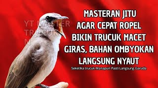 Download lagu Trucukan GACOR ngalas ROPEL PANJANG suara alam AMPUH buat pancingan jadikan trucuk Gacor GARUDA mp3
