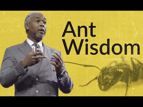Ant Wisdom | Bishop Dale C. Bronner