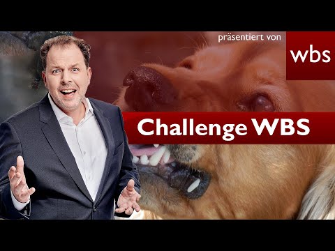 Mein Hund verletzt Einbrecher: Hafte ich dafür? | Challenge WBS Rechtsanwalt Christian Solmecke