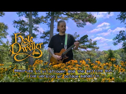 Hole Dweller - Memories in Wildflower and the Setting Sun (Fantasy Dungeon Synth)