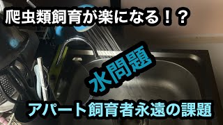 【用品紹介】賃貸での爬虫類飼育に役立つアイテムを紹介します【爬虫類　水道　洗い物】