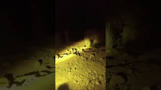 Armed Attack on Police Checkpost in Sanjavi , Duki