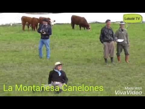 La Montañesa Unida-Festival Criollo y Jineteadas-