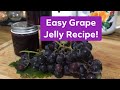 Easy Grape Jelly Recipe