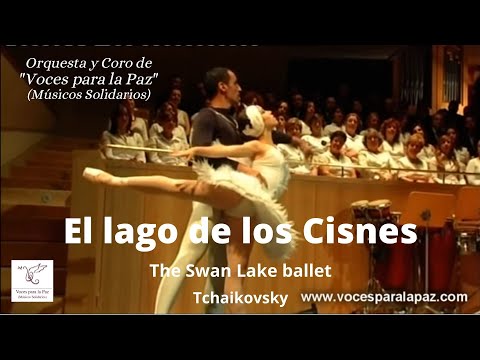 El lago de los Cisnes. The Swan Lake ballet. Tchaikovsky