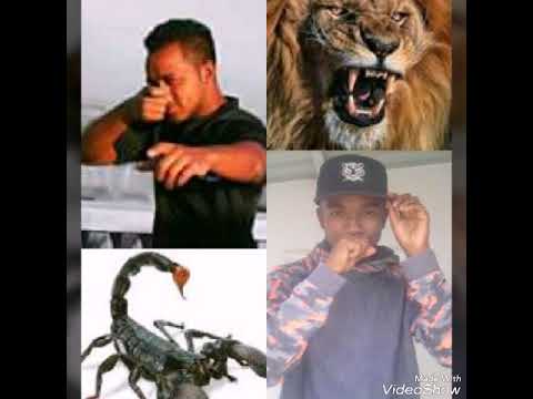 Skov & P.A - 105 Unity GANG - BOTO