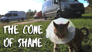 Van Cat Gets Stitches In Switzerland // Adventures Across Europe