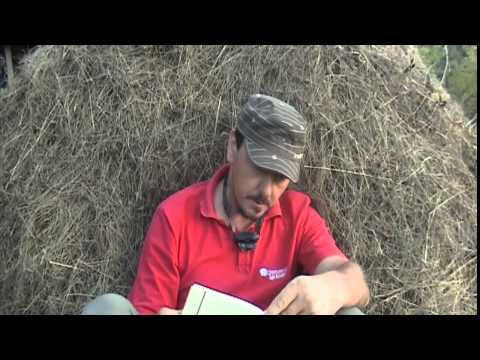 V. Leac la Ora de lectură