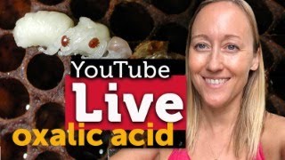 OXALIC ACID - Live Beekeeping Chat