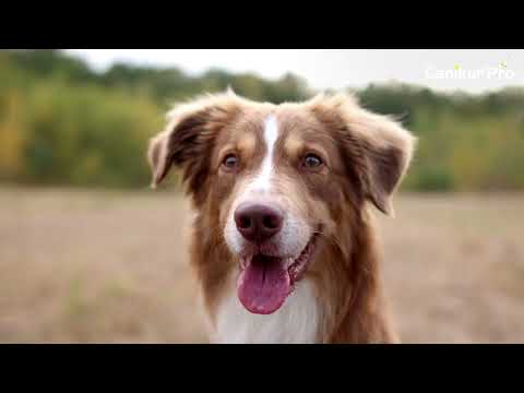 Produktvideo