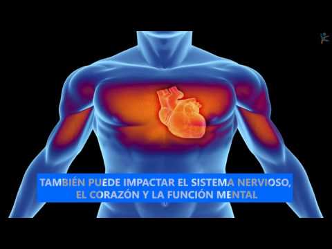 Clinica in Vinnytsia da alcolismo La prevenzione di programma di alcolismo tra minori