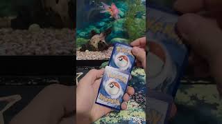 Opening a pack a day! (Day 430) #pokemon #pokemoncards