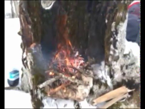 Wild Semprevisa .wmv