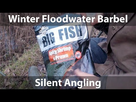 Winter Barbel fishing River Wye floodwater cold temperature hints tips tackle rigs bait