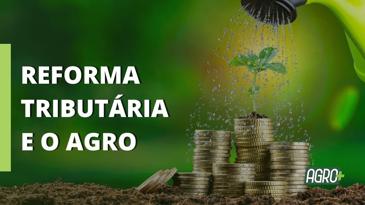 Reforma Tributária e o Agro: economista fala sobre importância da regulamentação.