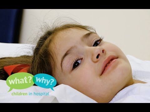 download lagu mp3 mp4 Mag3, download lagu Mag3 gratis, unduh video klip Mag3