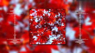 Cover art for Midnight Serenade