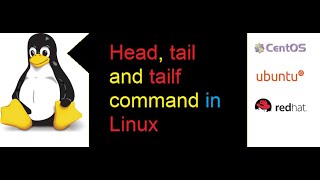 Discover How to use Head and Tail Like a Pro and check output of a file as required in Linux