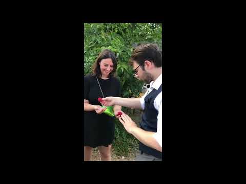 Vidéo