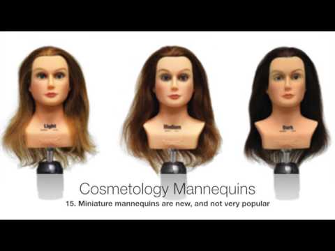 Part 3 of 3 - All About Cosmetology Mannequin Heads
