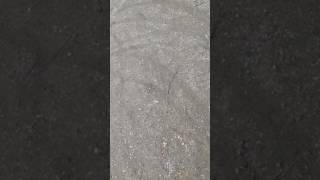 Mon frère et tonner dans les pommes (CHOC)