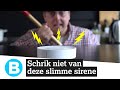 Slimme SIRENE: hiermee jaag je inbrekers weg