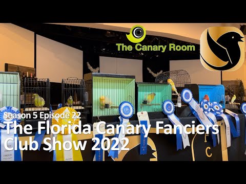 The Canary Room Season 5 Ep 22 - The Florida Canary Fanciers Club Show 2022