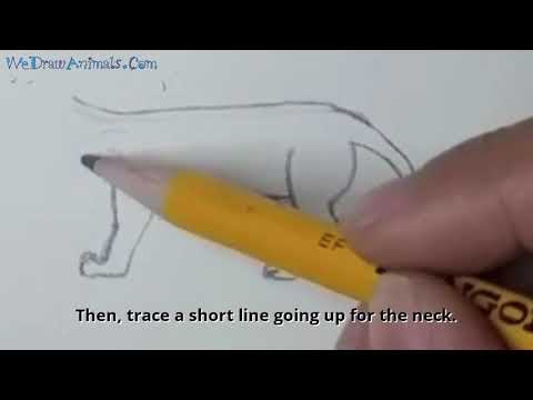 How to Draw a Panther In 9 EASY Steps - GREAT for Kids ...