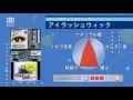 ABアイラッシュウィック ABMN How To Movie