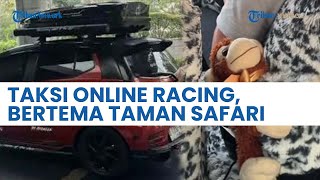 Penumpang Taksi Online Curhat Merasa Kena Prank, Tampilan Luar Mobil Racing Dalamnya Taman Safari