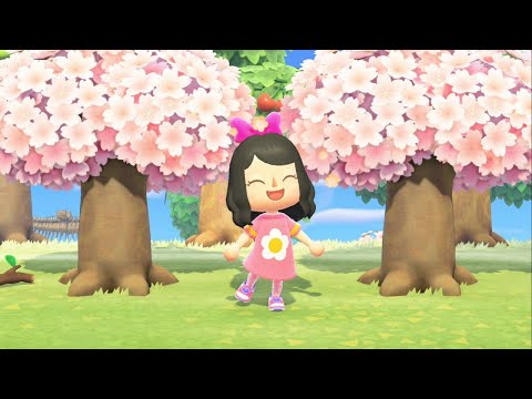 Animal Crossing New Horizons Part 109, Cherry Blossoms Return