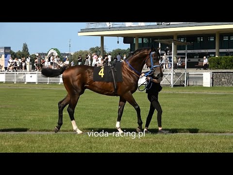 Gon. V - 21.06.2025 - Wild Warrior (Fascinating Rock - Fashion Forward)