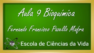 Bioquímica: Aula 9 - Enzimas - Cinética enzimática de duplo substrato