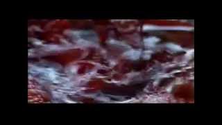 ชีวิตร่ำไห้ ที่ไม่มีใครได้ยิน (ครบบริบูรณ์)