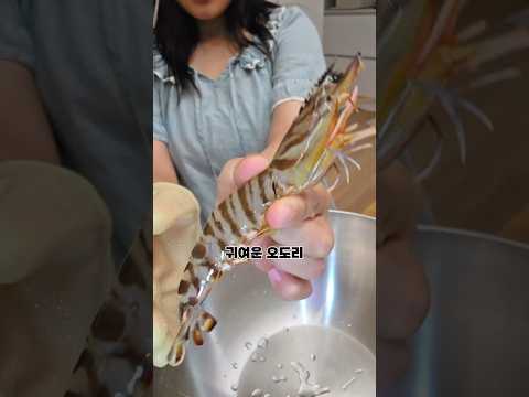 하나에 만원짜리 새우 ㄷㄷ