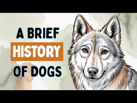 A Brief HISTORY of Dogs - How We Domesticated Dogs