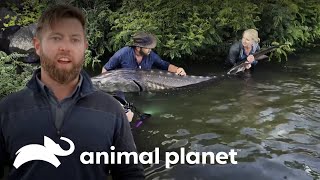 Thumbnail del capítulo