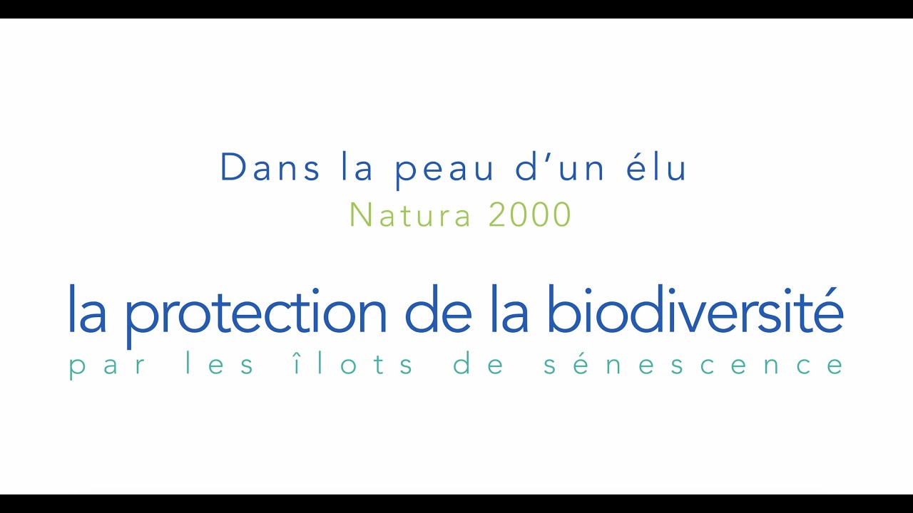 Ilôts de sénescence en site Natura 2000 avec Thierry Duval