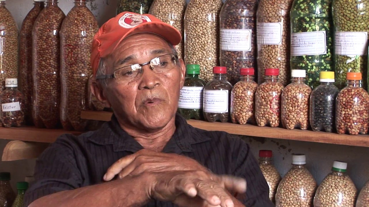 Sementes da Vida no Ceará. Ivo Sousa - DOCsertão