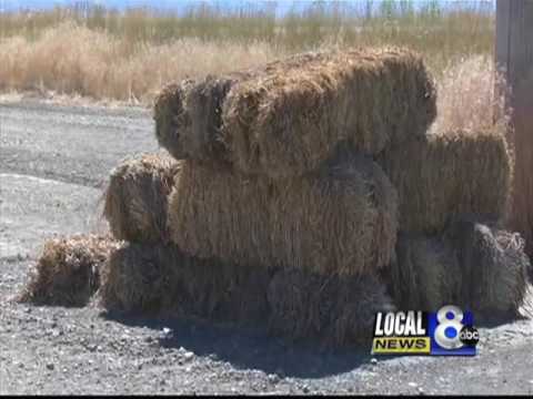 Haystack fires in Power and Bingham counties