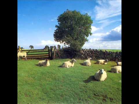 The KLF - Dream Time in Lake Jackson